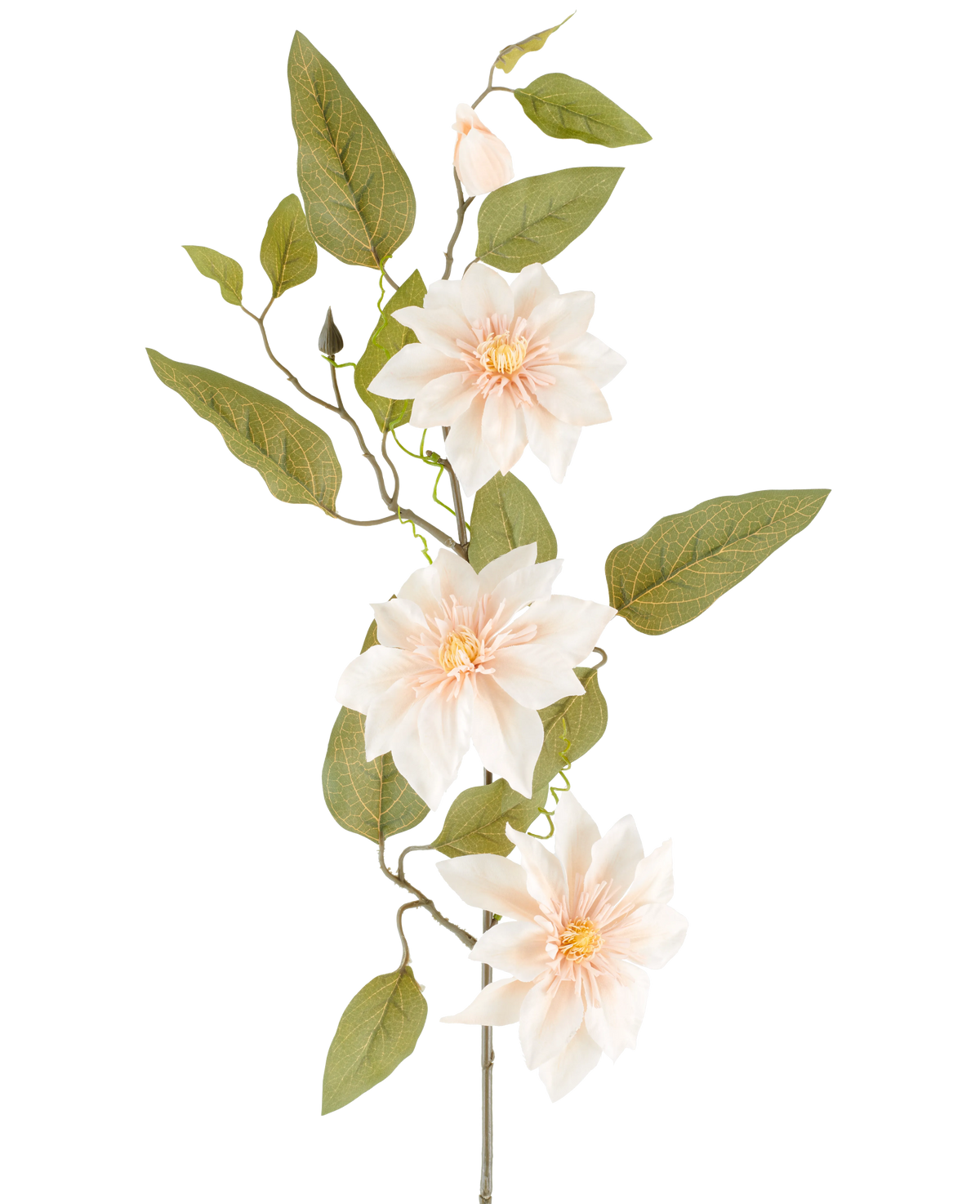 Eine detaillierte Kunstblumen-Clematis von 81 cm in der Farbe „Old Cream“ besteht aus drei hellrosa Blüten, verschiedenen grünen Blättern und einigen Knospen vor einem schlichten weißen Hintergrund.
