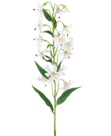 Ein langer grüner Stiel mit mehreren cremefarbenen und braunen künstlichen Lilien, jeweils mit länglichen grünen Blättern, präsentiert vor einem weißen Hintergrund – Künstliche Blumenlilie 82 cm creme/braun.