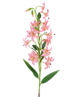 Ein einzelner Stiel der künstlichen Blumenlilie 82 cm in Fuchsia mit leuchtend fuchsiafarbenen Lilienblüten mit dunklen Flecken, grünen Blättern und Knospen vor einem weißen Hintergrund.
