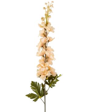 Ein einzelner Stiel einer künstlichen Delphinium-Blume, 79 cm, creme/braun, mit mehreren cremefarbenen und braunen Blüten und grünen Blättern, dargestellt vor einem weißen Hintergrund.