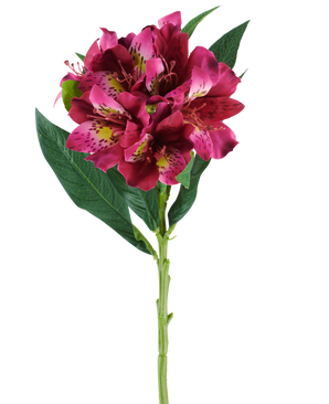 Ein einzelner Stiel der künstlichen Alstroemeria-Blume mit einer Größe von 74 cm in Rot- und Lilatönen, mit lebensechten Blüten und grünen Blättern, isoliert vor einem weißen Hintergrund.