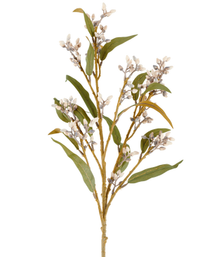 Ein einzelner 78 cm großer Eukalyptus-Kunstblumenstiel in Creme/Braun mit mehreren Zweigen grüner Blätter und kleinen, runden Blütenbüscheln, abgebildet vor einem schlichten weißen Hintergrund.
