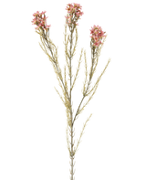 Eine einzelne 78 cm große künstliche Wachsblume in Altrosa hat einen grünen Stiel mit drei Zweigen, die jeweils kleine, zarte Altrosablüten und dünne, nadelartige Blätter tragen, die vor einem schlichten weißen Hintergrund zur Geltung kommen.