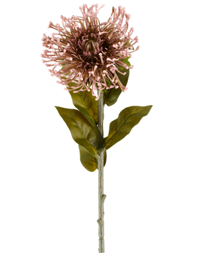 Die künstliche Blume Protea 65 cm lila ist eine einzelne künstliche Blume in Form einer Protea mit einem runden Cluster aus malvenfarbenen, spitzen Blütenblättern, grünen Blättern und einem langen Stiel, dargestellt vor einem schlichten weißen Hintergrund.