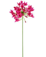 Ein einzelner langer grüner Stiel der künstlichen Blume Agapanthus 75 fuchsia trägt an der Spitze eine Gruppe leuchtend rosa Blüten, die sich von einem schlichten weißen Hintergrund abheben.