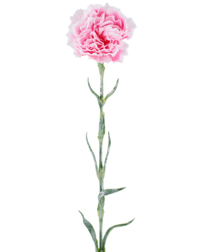 Künstliche Blume: 68 cm große Nelke, rosa, mit gekräuselten rosa Blütenblättern auf einem langen grünen Stiel, isoliert vor weißem Hintergrund.