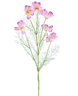Ein 78 cm großer künstlicher Kosmos in Creme/Rosa mit mehreren hellrosa und weißen Kosmosblüten und federleichten grünen Blättern, dargestellt vor einem schlichten weißen Hintergrund.