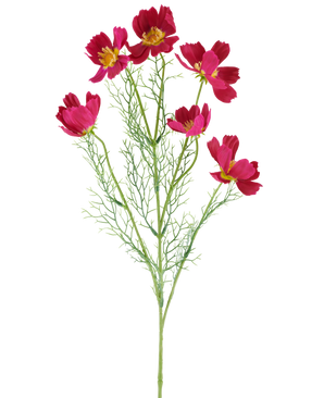 Die künstliche Blume Cosmo 78 cm Fuchsia besteht aus leuchtend fuchsiafarbenen Kosmosblüten mit gelber Mitte und zarten, federleichten grünen Blättern vor einem weißen Hintergrund.