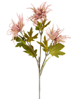 Ein einzelner Stiel der Kunstblume Armeria maritima, 67 cm altrosa, mit mehreren grünen Blättern und drei spitzen, altrosa Blüten, dargestellt vor einem schlichten weißen Hintergrund.