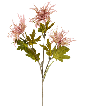Ein einzelner Stiel der Kunstblume Armeria maritima, 67 cm altrosa, mit mehreren grünen Blättern und drei spitzen, altrosa Blüten, dargestellt vor einem schlichten weißen Hintergrund.