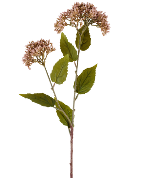 Ein einzelner Stiel der Kunstblume Sedum 67 cm lila hat zwei Büschel kleiner, helllila Blüten und zahlreiche grüne Blätter vor einem weißen Hintergrund.