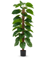 Die Kunstpflanze Epipremnum aureum 180 cm hat große, glänzend grüne Blätter, die entlang eines zentralen braunen Stiels angeordnet sind, und wird in einem kleinen schwarzen Topf geliefert, abgebildet vor einem schlichten weißen Hintergrund.