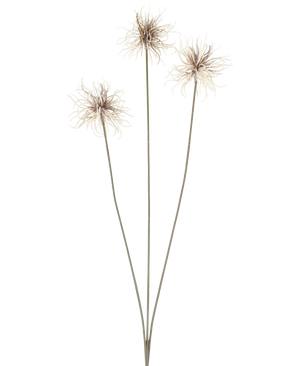 Drei künstliche Blumen der Gattung Xanthium in Creme und Braun, jeweils mit dünnen, langen Stielen von 64 cm, fächerförmig angeordnet vor einem schlichten weißen Hintergrund.