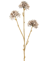 Drei braune Stängel der Kunstblume Mini Allium 60 cm creme/braun ragen nach oben, jeweils mit einer runden Ansammlung kleiner, dezenter cremefarbener und brauner Knospen am Ende vor einem schlichten weißen Hintergrund. Das Ganze wirkt minimalistisch und natürlich.