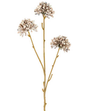 Drei braune Stängel der Kunstblume Mini Allium 60 cm creme/braun ragen nach oben, jeweils mit einer runden Ansammlung kleiner, dezenter cremefarbener und brauner Knospen am Ende vor einem schlichten weißen Hintergrund. Das Ganze wirkt minimalistisch und natürlich.