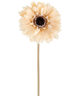 Die Kunstblume Gerbera 53 cm creme/braun besteht aus einer einzelnen hellen pfirsichfarbenen Kunstgerbera mit geschichteten Blütenblättern und einem dunkelbraunen Herzen auf einem langen, schlanken Stiel, dargestellt vor einem schlichten weißen Hintergrund.