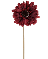 Die Kunstblume Gerbera 53 cm Bordeaux besteht aus einer künstlichen Gerbera in einem satten, dunkelroten Farbton mit geschichteten Blütenblättern und einem braunen Herzen, die an einem langen, geraden, hellen Stiel befestigt ist und vor einem schlichten weißen Hintergrund präsentiert wird.