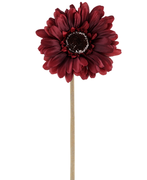 Die Kunstblume Gerbera 53 cm Bordeaux besteht aus einer künstlichen Gerbera in einem satten, dunkelroten Farbton mit geschichteten Blütenblättern und einem braunen Herzen, die an einem langen, geraden, hellen Stiel befestigt ist und vor einem schlichten weißen Hintergrund präsentiert wird.