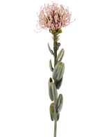 Ein einzelner Stiel der künstlichen Blume Protea 61 cm malvenfarben, mit ovalen grünen Blättern und einer runden, stacheligen hell malvenrosa Blüte an der Spitze, abgebildet vor einem schlichten weißen Hintergrund.