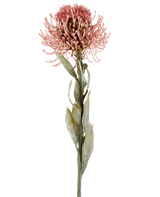 Kunstblume Protea 60 cm altrosa mit spitzen rosa Blütenblättern und grünen Blättern an einem langen Stiel, dargestellt vor einem schlichten weißen Hintergrund.