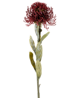 Eine einzelne künstliche Protea-Blume von 60 cm in Burgunderrot hat eine dunkelrote, stachelige Blüte mit grünen Blättern, fotografiert vor einem weißen Hintergrund.