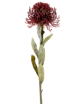 Eine einzelne künstliche Protea-Blume von 60 cm in Burgunderrot hat eine dunkelrote, stachelige Blüte mit grünen Blättern, fotografiert vor einem weißen Hintergrund.