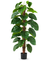 Die Kunstpflanze Epipremnum aureum 150 cm ist eine hohe Kunstpflanze mit großen, glänzend grünen Blättern, präsentiert in einem schwarzen Topf vor einem schlichten weißen Hintergrund.