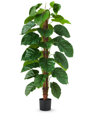 Die Kunstpflanze Epipremnum aureum 150 cm ist eine hohe Kunstpflanze mit großen, glänzend grünen Blättern, präsentiert in einem schwarzen Topf vor einem schlichten weißen Hintergrund.