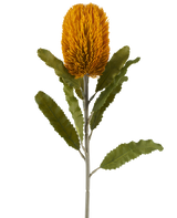 Eine einzelne künstliche Banksia-Blume in Senffarbe, 65 cm hoch, mit zylindrischer Form und gezackten grünen Blättern auf einem langen Stiel, isoliert vor einem weißen Hintergrund.