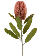 Ein einzelner Stiel der Kunstblume Banksia 65 cm altrosa hat eine große, rosafarbene, zylindrische Blüte und lange, gezackte grüne Blätter, die sich von einem weißen Hintergrund abheben.
