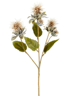 Ein einzelner Stiel künstlicher Blumendistel, 57 cm, creme/braun, mit drei spitzen, runden, hellbraunen Blüten und einigen grünen Blättern, abgebildet auf weißem Hintergrund.