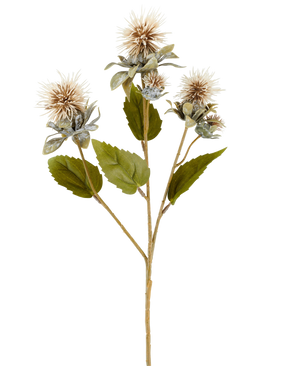 Ein einzelner Stiel künstlicher Blumendistel, 57 cm, creme/braun, mit drei spitzen, runden, hellbraunen Blüten und einigen grünen Blättern, abgebildet auf weißem Hintergrund.