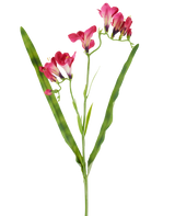 Eine künstliche Blume: 56 cm große Freesie in Fuchsia mit leuchtend fuchsiafarbenen Blüten und zwei langen, schlanken grünen Blättern, dargestellt auf weißem Hintergrund.