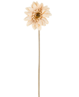 Eine einzelne künstliche Mini-Gerbera in Creme/Braun mit geschichteten Blütenblättern und einem langen, dünnen Stiel von 47 cm, zentriert vor einem weißen Hintergrund.