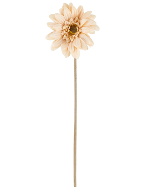Eine einzelne künstliche Mini-Gerbera in Creme/Braun mit geschichteten Blütenblättern und einem langen, dünnen Stiel von 47 cm, zentriert vor einem weißen Hintergrund.