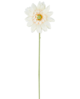 Die künstliche Blume Mini Gerbera 47 cm creme ist eine einzelne künstliche Blume in einem cremeweißen Farbton mit geschichteten Blütenblättern und einem grünen Herzen, die an einem langen, geraden grünen Stiel befestigt ist und vor einem schlichten weißen Hintergrund präsentiert wird.