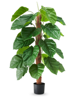 Eine künstliche Pflanze Epipremnum aureum, 120 cm hoch, mit großen, glänzend grünen Blättern in einem schwarzen Topf, dargestellt vor einem schlichten weißen Hintergrund.