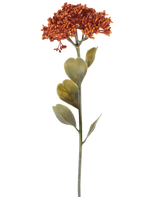 Eine einzelne künstliche Sedum-Blume von 46 cm in verwittertem Orange, mit Büscheln kleiner rot-orangefarbener Blüten und einigen grünen Blättern, dargestellt auf einem weißen Hintergrund.