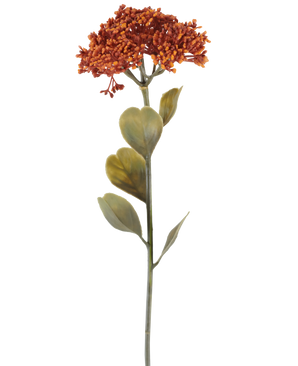 Eine einzelne künstliche Sedum-Blume von 46 cm in verwittertem Orange, mit Büscheln kleiner rot-orangefarbener Blüten und einigen grünen Blättern, dargestellt auf einem weißen Hintergrund.