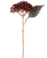Vor einem weißen Hintergrund ist eine einzelne getrocknete künstliche Hortensie in Burgunderrot mit einer Länge von 38 cm, mit getrockneten rotbraunen Blütenblättern, einer Ansammlung kleiner Knospen und einem grünen Blatt auf einem langen, schlanken Stiel abgebildet.