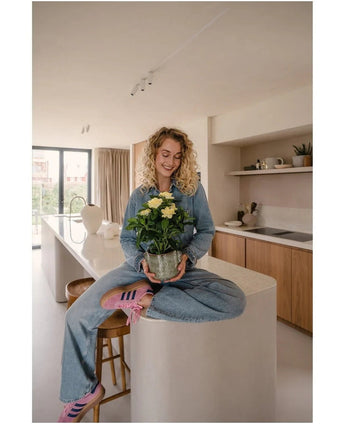 Eine Frau mit lockigen blonden Haaren, Jeans und gestreiften Socken, sitzt lächelnd auf der Küchentheke und hält die künstliche Gardenie UV 39 cm – eine Topfpflanze mit gelben Blüten. Im Hintergrund sieht man eine moderne Küche mit Holzschränken und Regalen.