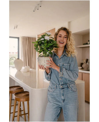 Eine lächelnde Frau in einem Jeans-Outfit hält die weiße Kunstpflanze Artificial Gardenia UV 39 cm in einer modernen Küche mit Holzhockern, weißen Arbeitsplatten und neutralem Dekor.