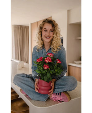 Eine lächelnde Frau mit lockigen blonden Haaren sitzt im Schneidersitz auf einer Küchentheke und hält eine 39 cm große künstliche Gardenia-UV-Pflanze in Fuchsia. Sie trägt ein Jeansoutfit und rosa Turnschuhe.