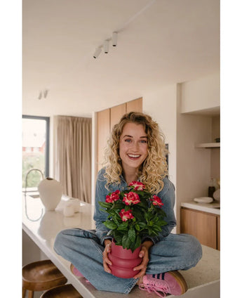 Eine lächelnde Frau mit lockigen blonden Haaren sitzt im Schneidersitz auf einer hellen, modernen Arbeitsplatte und hält die künstliche Gardenia UV 39 cm Fuchsia – eine rosa Topfpflanze mit leuchtend roten Blüten. Sie trägt Jeans, ein blaues Hemd und rosa Schuhe.