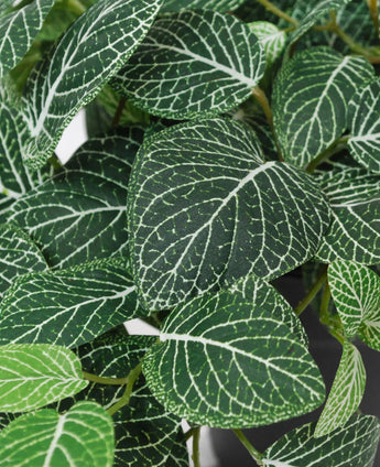 Nahaufnahme der künstlichen hängenden Fittonia grün-weiß im Topf 70 cm UV, mit grünen Blättern mit auffälligen weißen Adern und detaillierten Adermustern in verschiedenen Grüntönen.