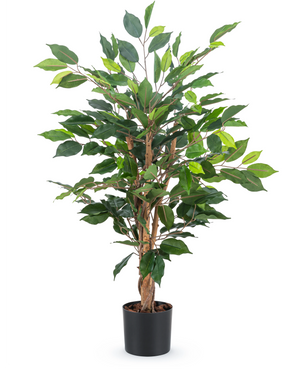 Die Kunstpflanze Ficus Green 90 cm hat mehrere braune Stängel und sattgrüne Blätter in einem schlichten schwarzen Topf – ideal als stilvolle Büropflanze.