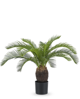 Die künstliche Pflanze Baby Cycas Palm 60 cm hat lange, gewölbte grüne Blätter und einen dicken, strukturierten braunen Stamm, präsentiert in einem Topf vor einem schlichten weißen Hintergrund.