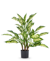 Die Kunstpflanze Dieffenbachia UV 75 cm hat hohe grüne Stängel und große, spitze Blätter mit hellgelb-grünen Farbtönen in einem stilvollen Dekotopf vor einem schlichten weißen Hintergrund.