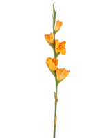 Die Kunstblume Gladiole 83 cm orange hat einen langen grünen Stiel mit mehreren orangefarbenen Gladiolenblüten auf weißem Hintergrund.