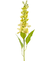 Die Kunstblume Asiatischer Apfel 84 cm grün hat einen einzelnen hohen Stiel mit mehreren hellgelben Blüten und länglichen grünen Blättern, dargestellt vor einem weißen Hintergrund.